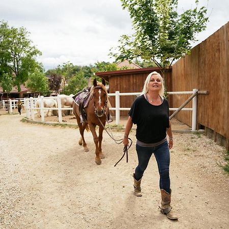 Ranchzimmer Am Hippo-Campus Reit- Und Therapiezentrum Deutsch Haslau Eksteriør bilde