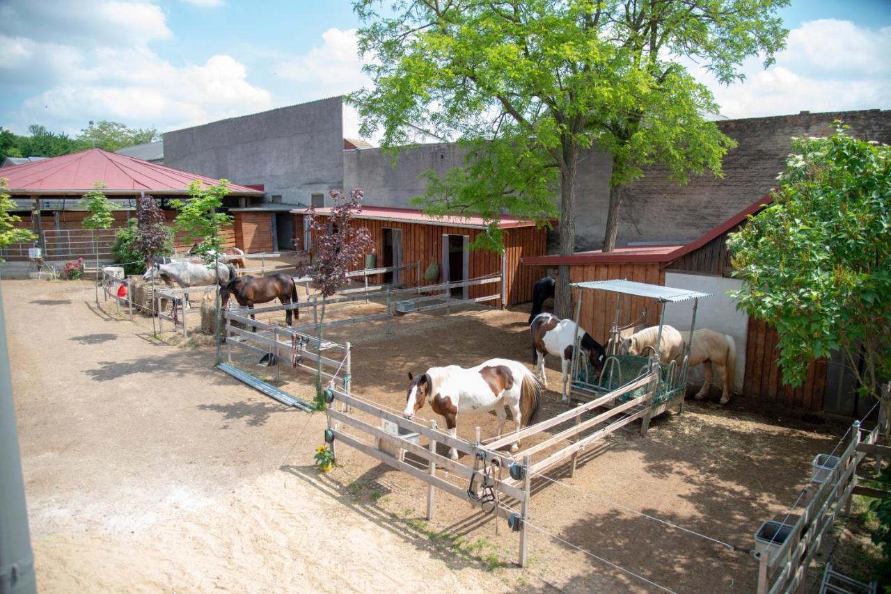 Ranchzimmer Am Hippo-Campus Reit- Und Therapiezentrum Deutsch Haslau Eksteriør bilde